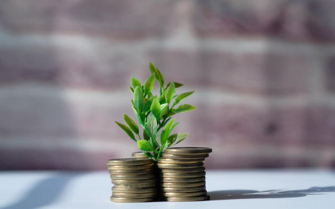 Top 4 Strategies to Maximize Profits and Avoid Costly Mistakes When Investing in Real Estate in the U.S. (2025)